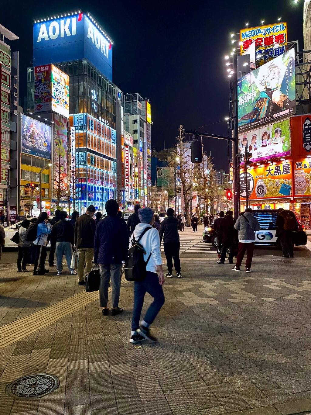 Akihabara: Wo Anime und Technik in Tokio zu Hause sind